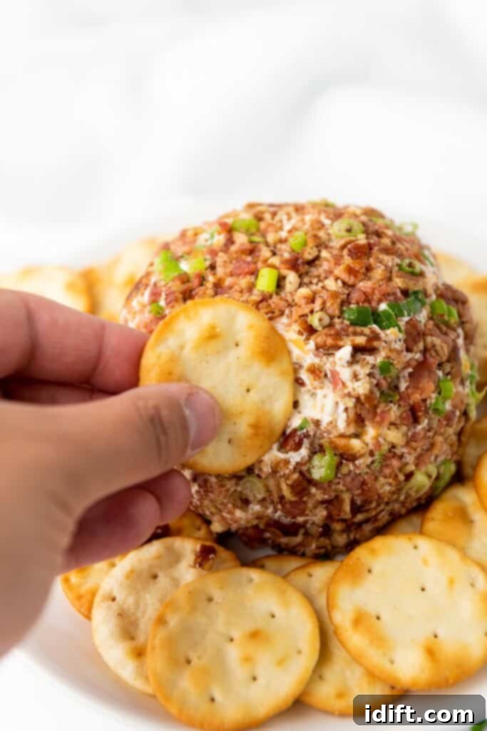 A hand holding a cracker getting a small amount of Pecan Bacon Cheeseball.