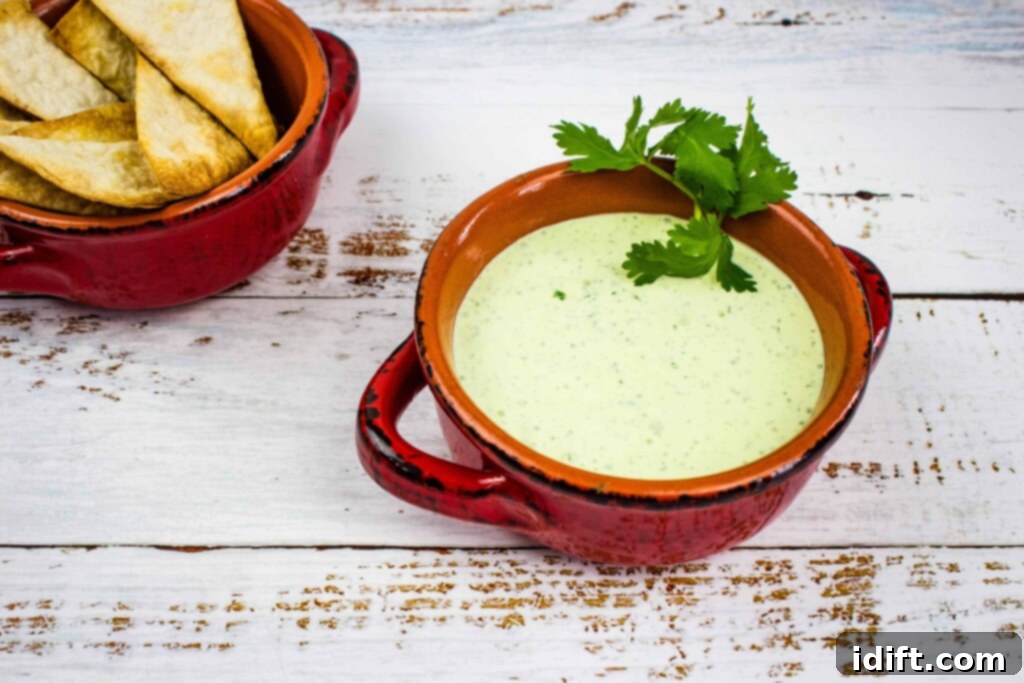 Zesty Jalapeño Cloud 2 Homemade creamy jalapeno dip in a rustic red bowl, with a scattering of tortilla chips in the background, ready for dipping.
