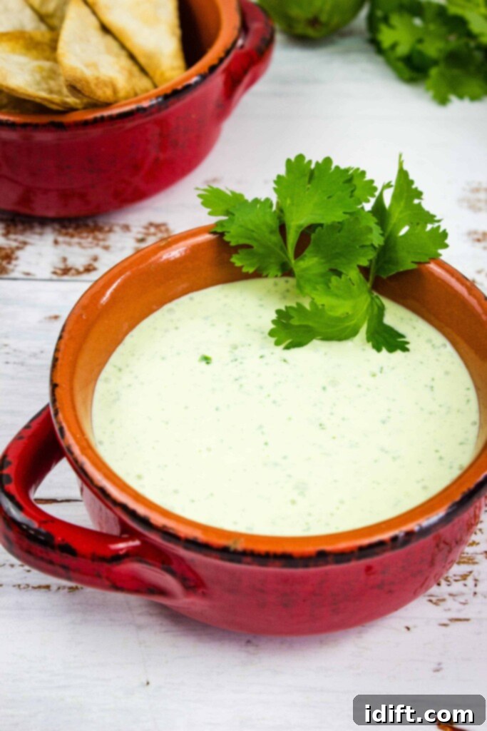 Zesty Jalapeño Cloud 3 A close-up shot of a rich, creamy jalapeno dip served in a charming rustic bowl, with a soft-focus background of crispy tortilla chips, inviting you to dive in.