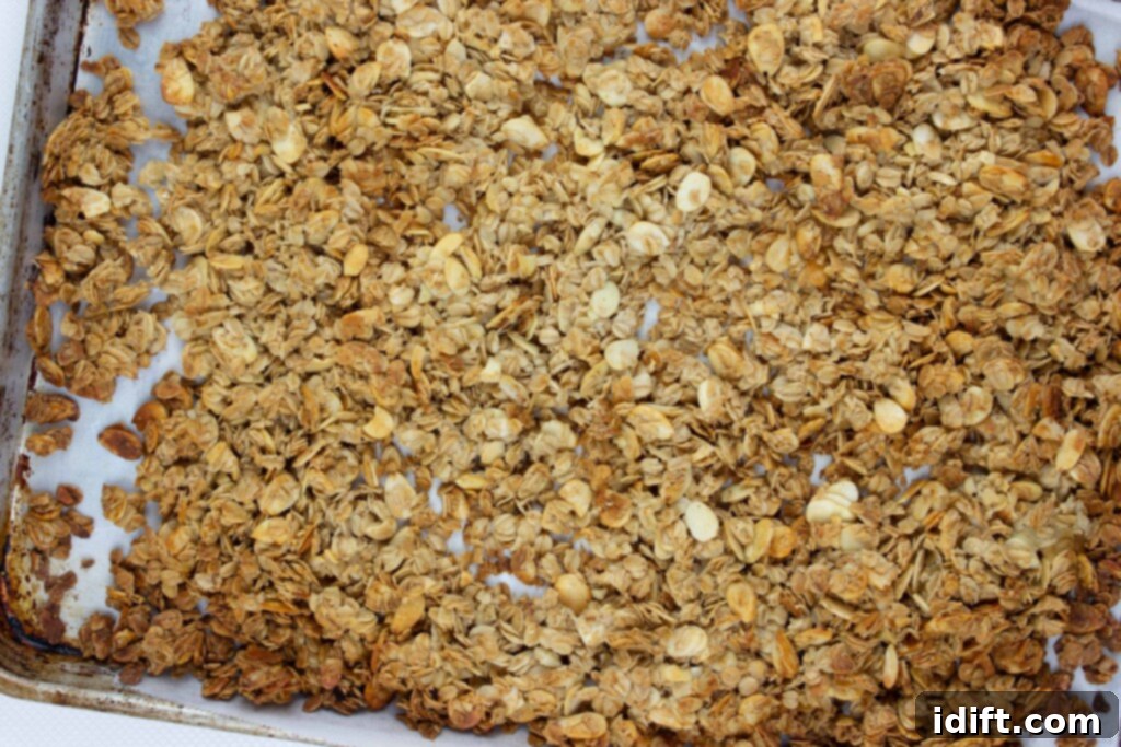 A close-up view of fully baked honey almond granola on a sheet pan, showing its perfect golden-brown color and crispy texture, particularly around the edges.