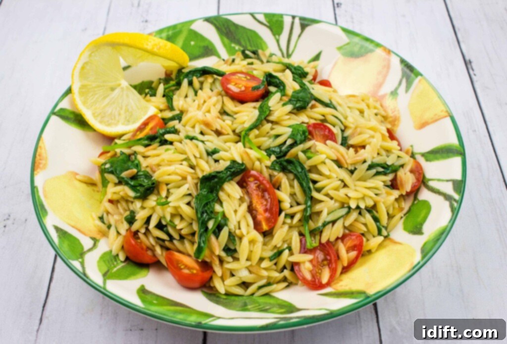 Velvety Spinach and Tomato Orzo 13 A beautifully plated portion of Creamy Spinach Orzo with tomatoes and fresh herbs, ready for a gourmet meal.