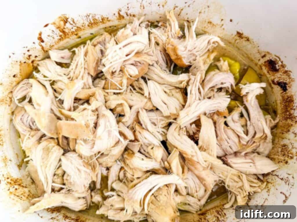 Shredded cooked chicken in a dish with light broth and seasonings.