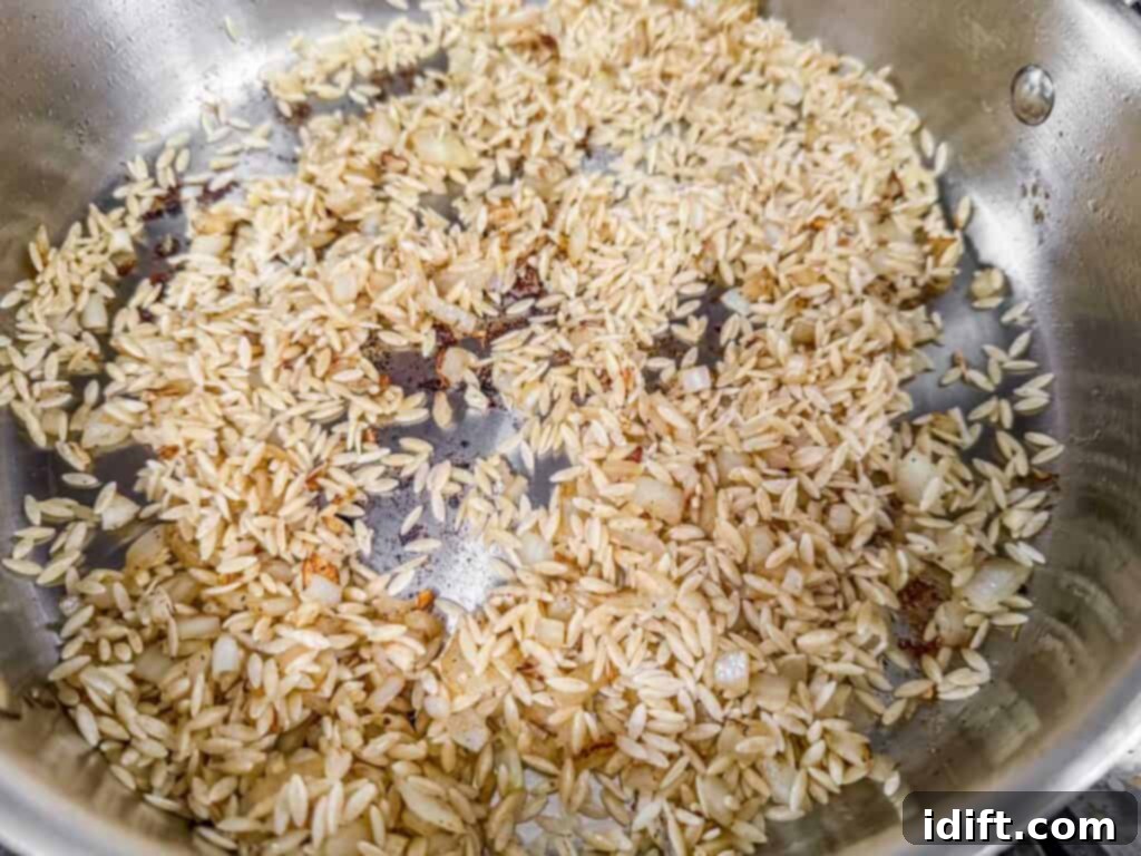 Orzo pasta and sautéed onions toasting in a stainless steel pan, absorbing rich flavors from the browned bits left behind, preparing for the liquid addition.