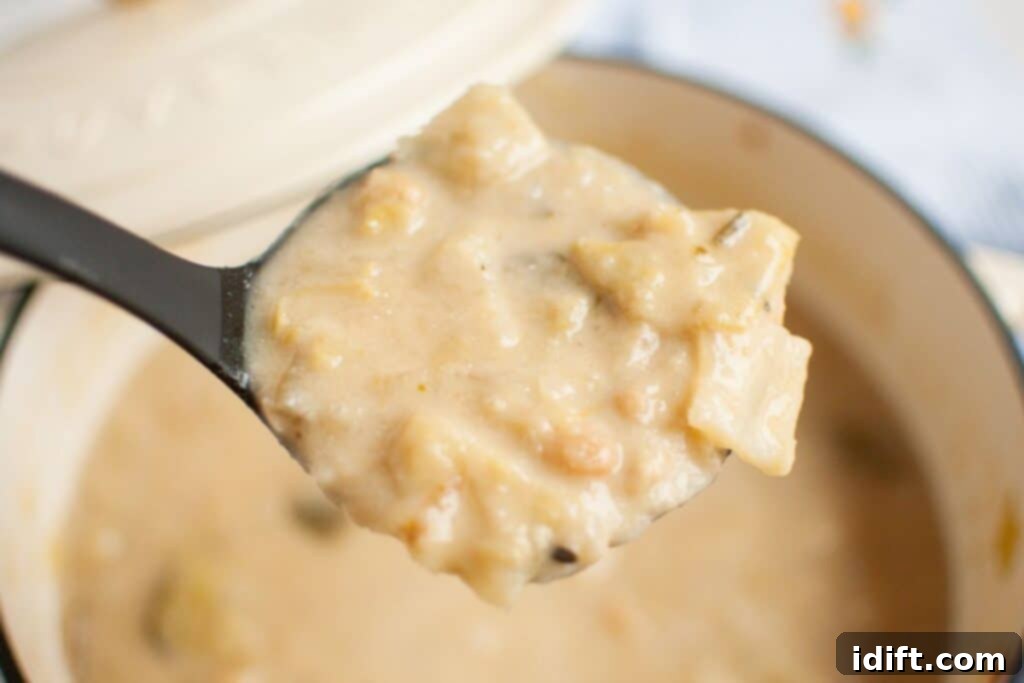 A glistening ladle, filled with creamy Cabbage and Bean Soup, is held enticingly over a steaming pot, ready to be served and enjoyed.