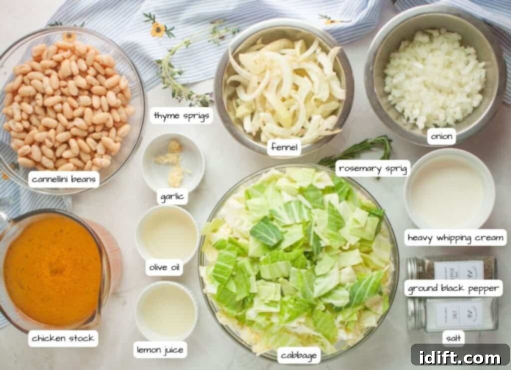 A curated display of ingredients for Cabbage and Bean Soup, neatly arranged in small bowls and labeled: cannellini beans, sliced fennel, diced onion, chopped cabbage, rich chicken stock, fresh garlic, golden olive oil, vibrant lemon juice, fragrant thyme sprigs, an aromatic rosemary sprig, and essential salt and pepper for seasoning.