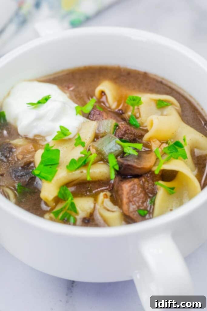 Hearty Beef Stroganoff Soup 2 A delicious bowl of homemade Beef Stroganoff Soup, garnished with a dollop of fresh sour cream and vibrant green parsley, ready to be enjoyed.