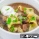 Hearty Beef Stroganoff Soup 12 A bowl of beef stroganoff soup topped with a dollop of sour cream and garnished with parsley.