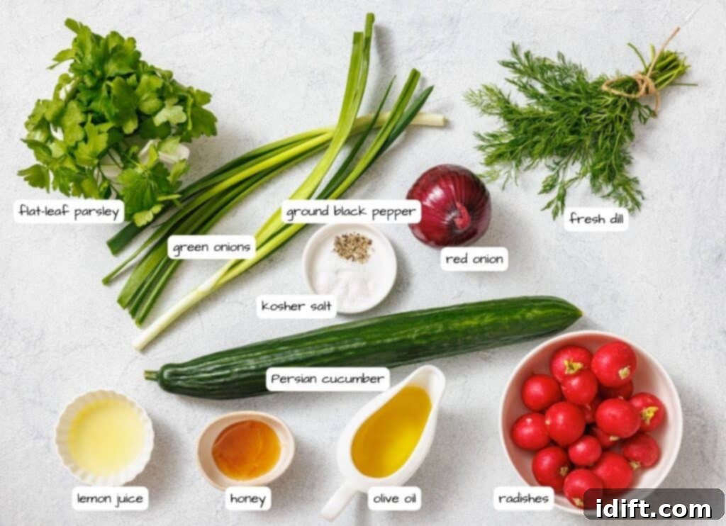 Ingredients for a salad are arranged on a surface: flat-leaf parsley, green onions, ground black pepper, red onion, fresh dill, kosher salt, Persian cucumber, radishes, lemon juice, honey, olive oil.