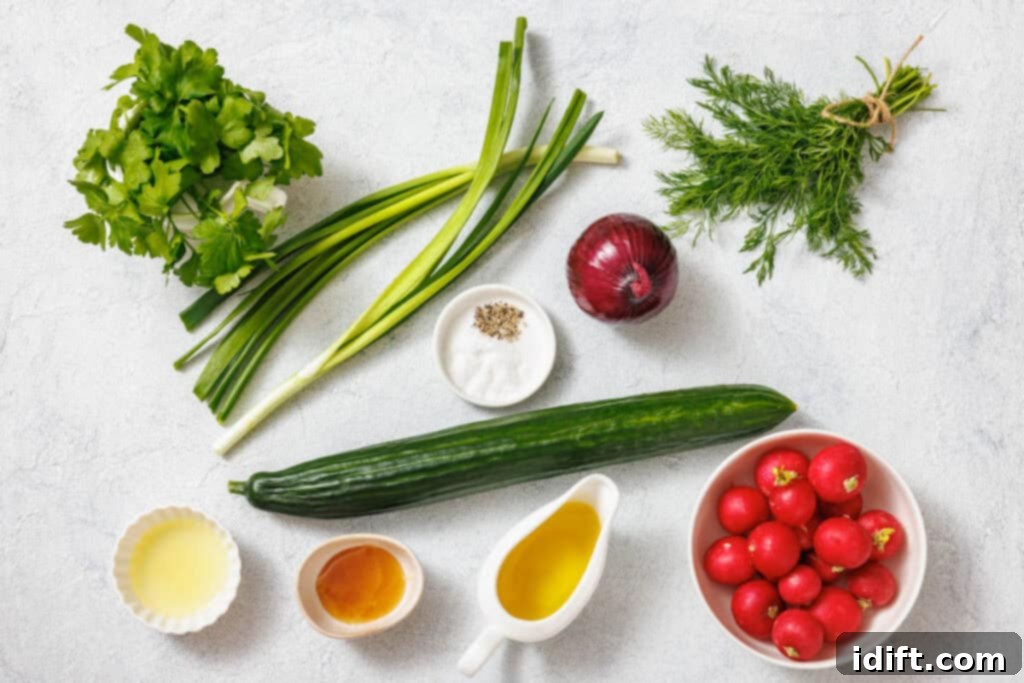 Cucumber, radishes, purple onion, green onions, parsley, dill, salt, pepper, orange liquid, yellow liquid, and lemon juice arranged on a light surface.