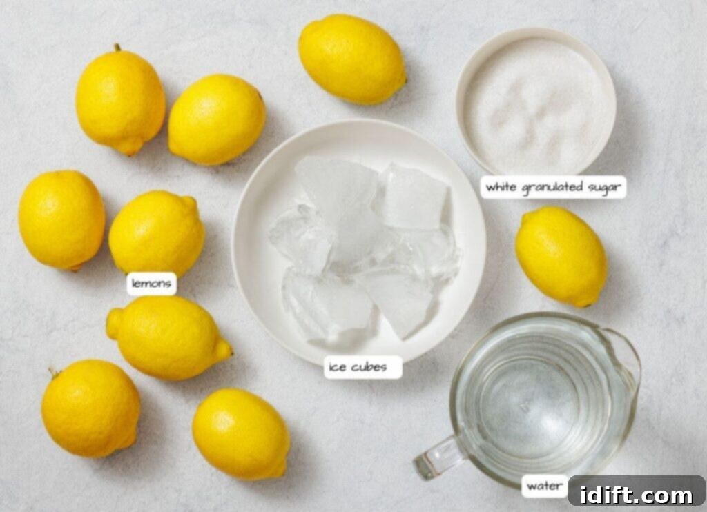Perfectly Simple Lemonade 4 Flat lay image of ingredients for making lemonade: nine whole lemons, a bowl of white granulated sugar, a bowl of ice cubes, and a clear glass pitcher filled with water. The items are neatly arranged on a light gray textured surface, with text labels identifying each ingredient.