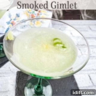 Perfectly Simple Lemonade 10 Smoked gimlet in a glass.