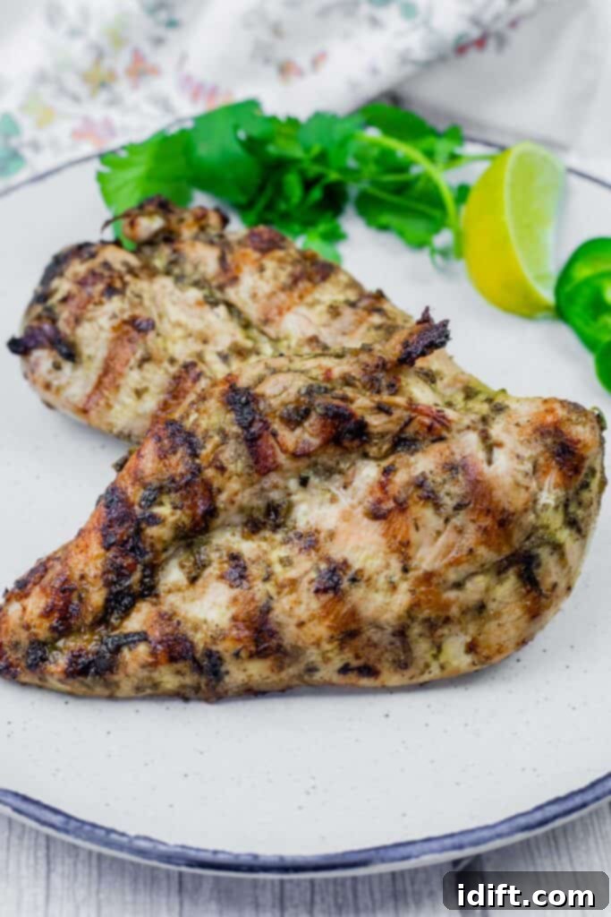 Grilled chicken with cilantro leaves and a slice of lemon in a white plate.