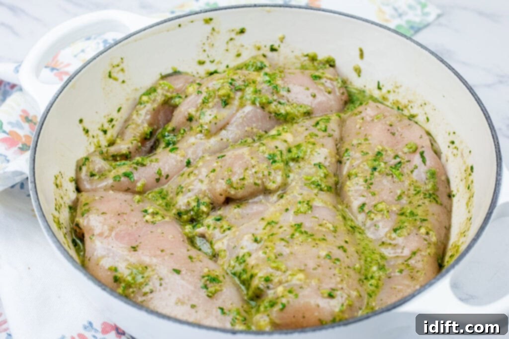 Raw chicken breasts coated with herbs seasonings in a white bowl.
