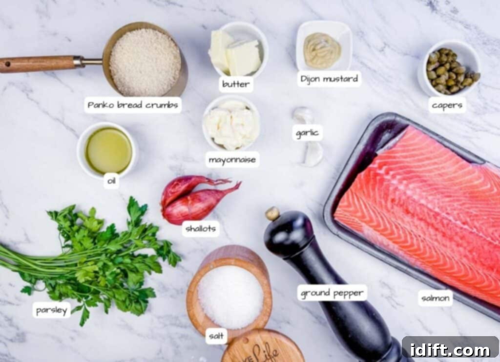 An overhead shot showcasing a meticulously arranged collection of ingredients for salmon balls, including a fresh salmon fillet, crunchy panko bread crumbs, fragrant herbs, aromatic spices, zesty lemon, and other essential flavorings, all clearly labeled for easy identification.