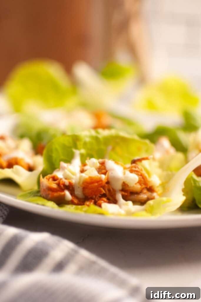 A close-up of Buffalo Chicken lettuce wraps filled with shredded chicken and topped with a white sauce, arranged on a white plate, ready to be enjoyed.