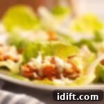 A close-up of Buffalo Chicken lettuce wraps filled with shredded chicken and topped with a white sauce, arranged on a white plate.
