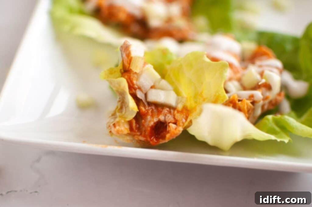 Close-up of a vibrant lettuce leaf filled with tender shredded buffalo chicken, crisp diced onions, and a generous drizzle of creamy sauce, artfully placed on a pristine white plate.