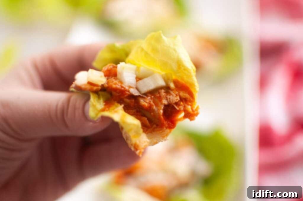 A hand gently holds a perfectly filled lettuce cup, brimming with savory shredded meat, zesty sauce, and a sprinkle of chopped onions, showcasing the wrap's ready-to-eat appeal.