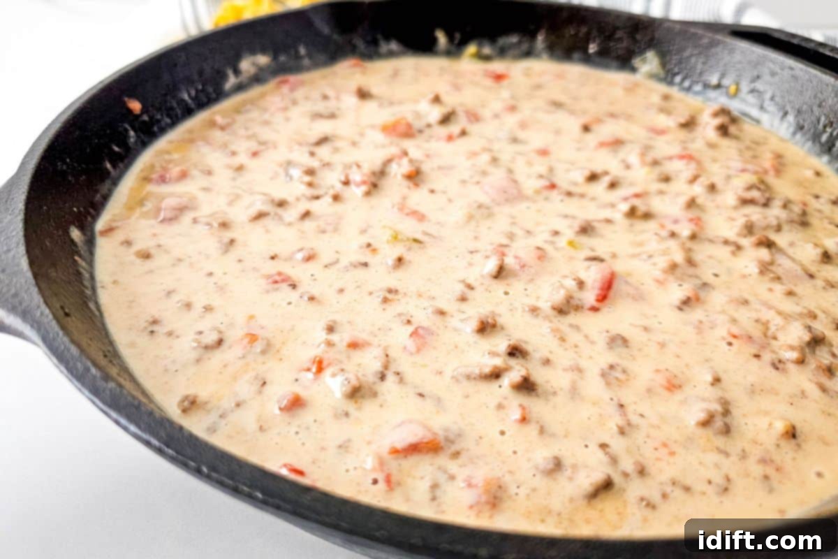 21 Halloween Bites So Good They'll Vanish Before Any Costume Compliments 16 A skillet filled with creamy Queso Blanco Rotel Dip containing ground meat and diced tomatoes.