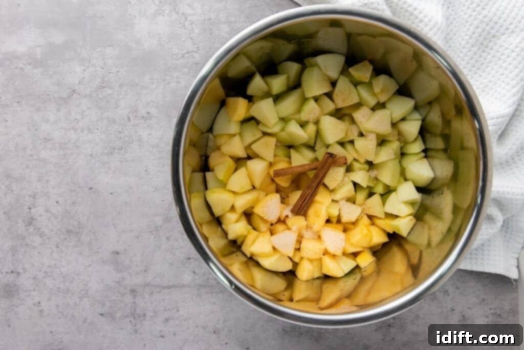 Chef Jenn's Effortless Instant Pot Applesauce 7 Chopped apples and pears with a cinnamon stick and sugar in a metal pot, placed on a gray countertop next to a white towel.