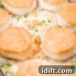 A casserole dish filled with creamy chicken and vegetable mixture, topped with golden-brown biscuits arranged evenly on top.