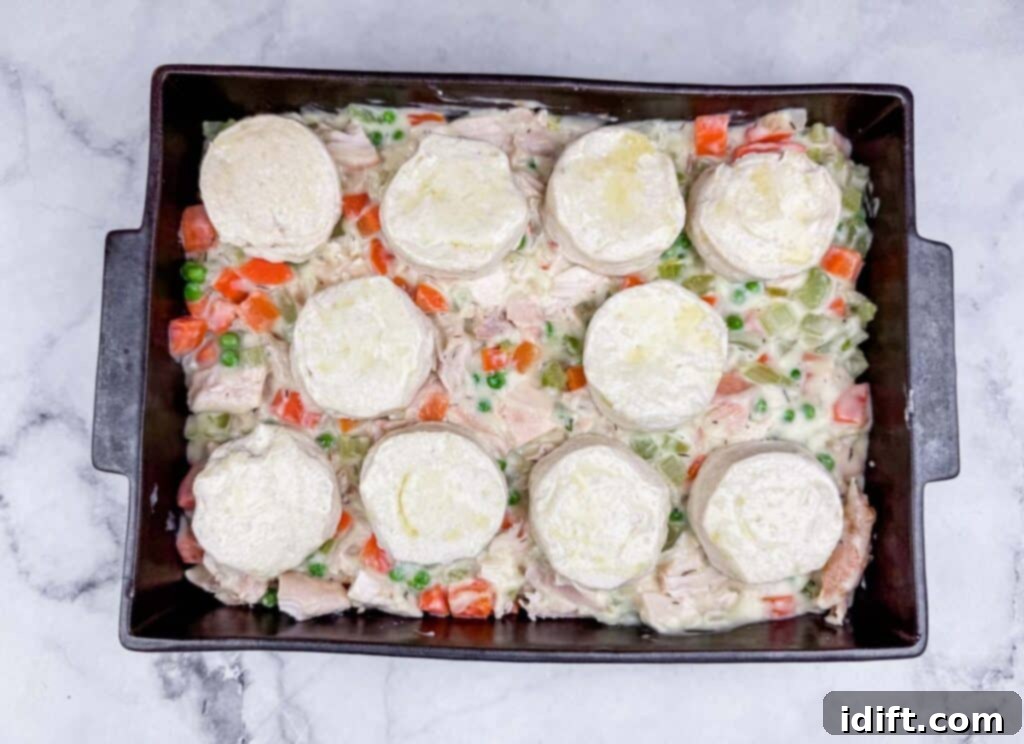 A baking dish filled with a mixture of vegetables and chicken in a creamy sauce, topped with nine uncooked biscuit dough rounds.