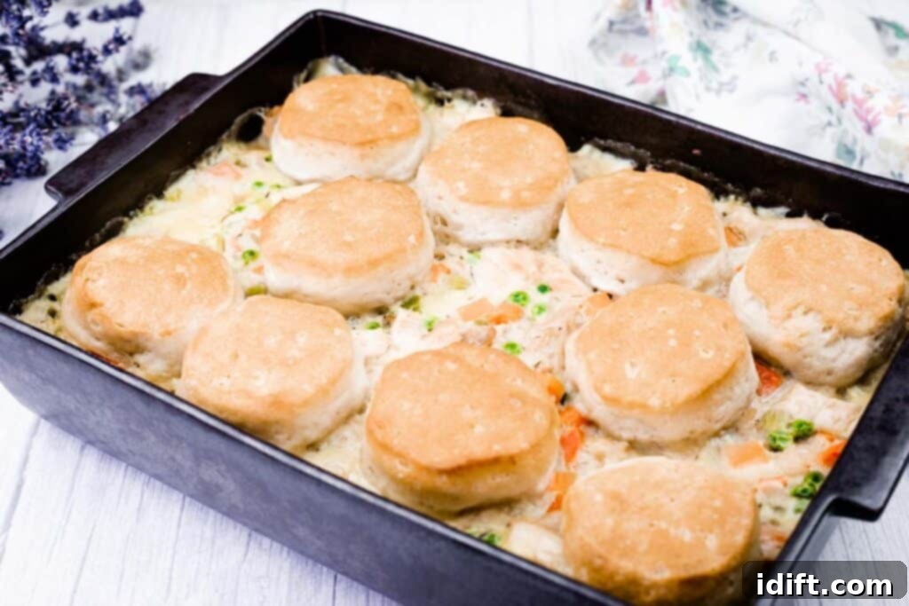 A casserole dish filled with creamy chicken and vegetables, topped with baked golden biscuits.
