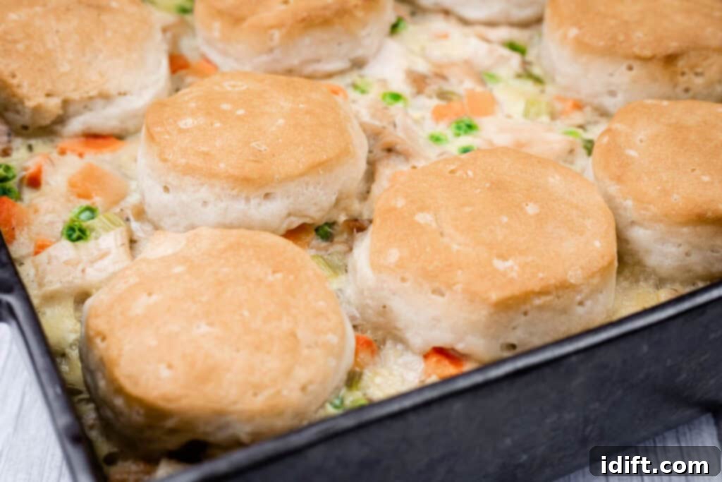A baking dish filled with creamy chicken and vegetable casserole, topped with baked golden-brown biscuits.