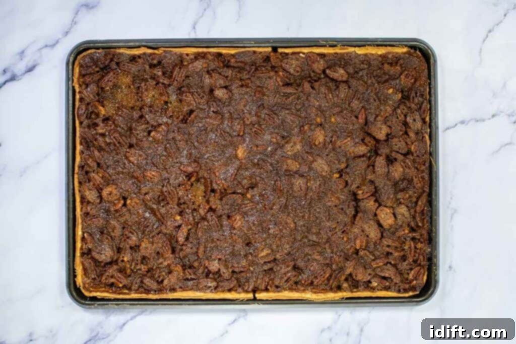 Baked pecan slab pie in a baking sheet