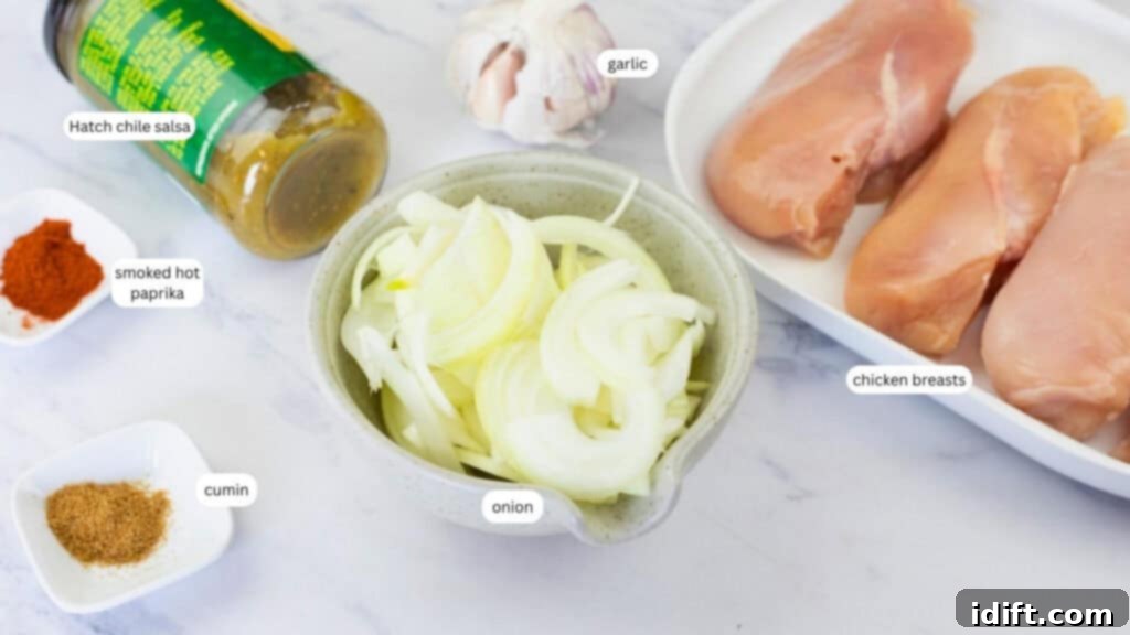 Ingredients for Slow Cooker Hatch Chili Salsa Chicken: chicken, onions, garlic, salsa, smoked paprika, and cumin